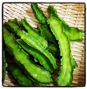 Winged Bean Seeds: [Chathura Payar;Asparagus Pea;Rarest Goa Bean Winged Pea Charkonisem ] For Terrace Garden-20 Seeds by Creative Farmer