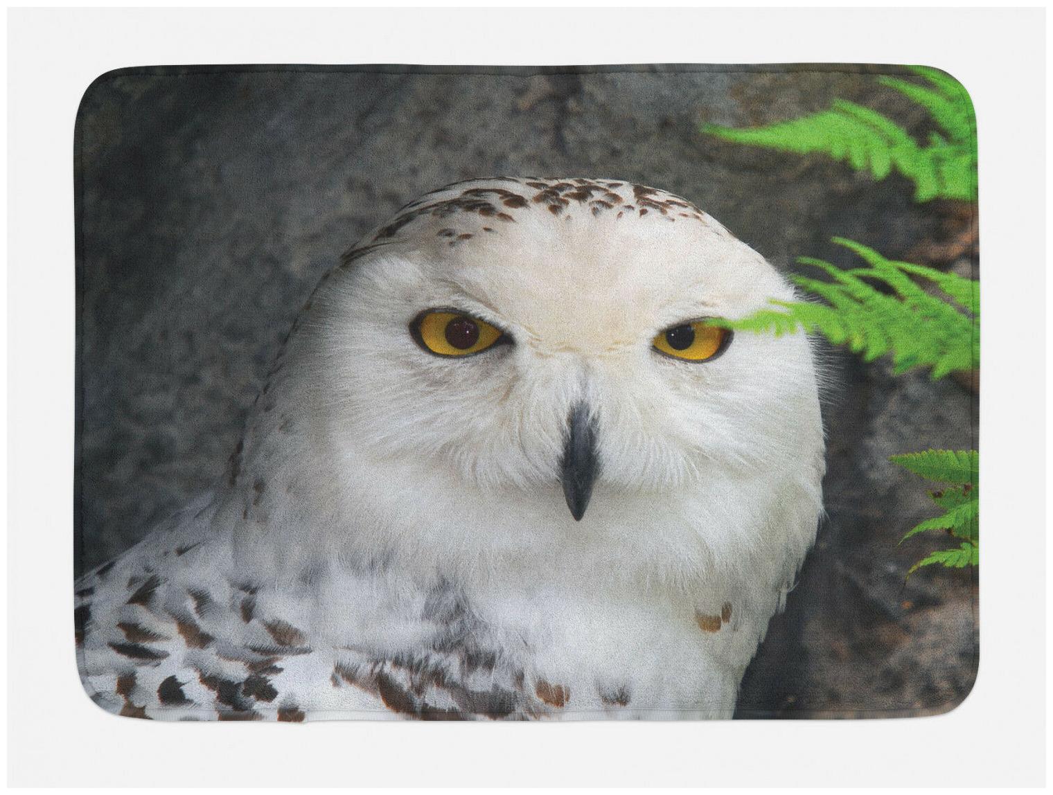 

Wizard Bath Mat Magician Pet White Owl Non-Slip Plush Mat 29 5 X 17 5 Inches