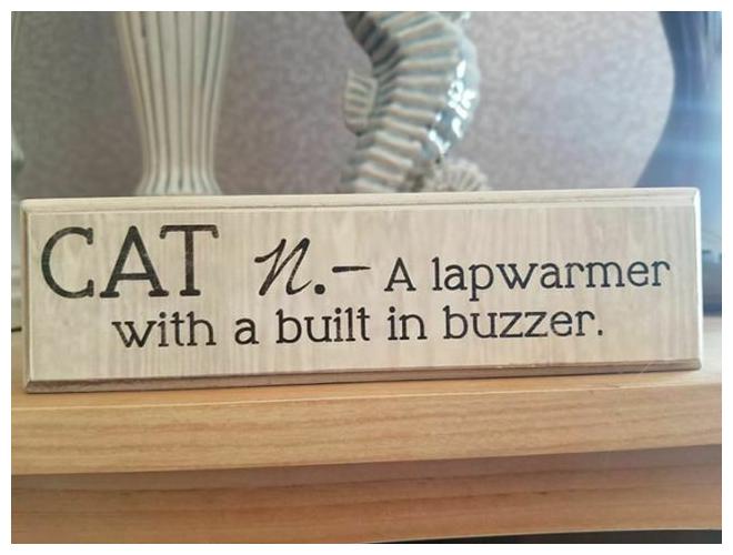 

Wooden Cat Sign by Young s A lapwamer Home Decor