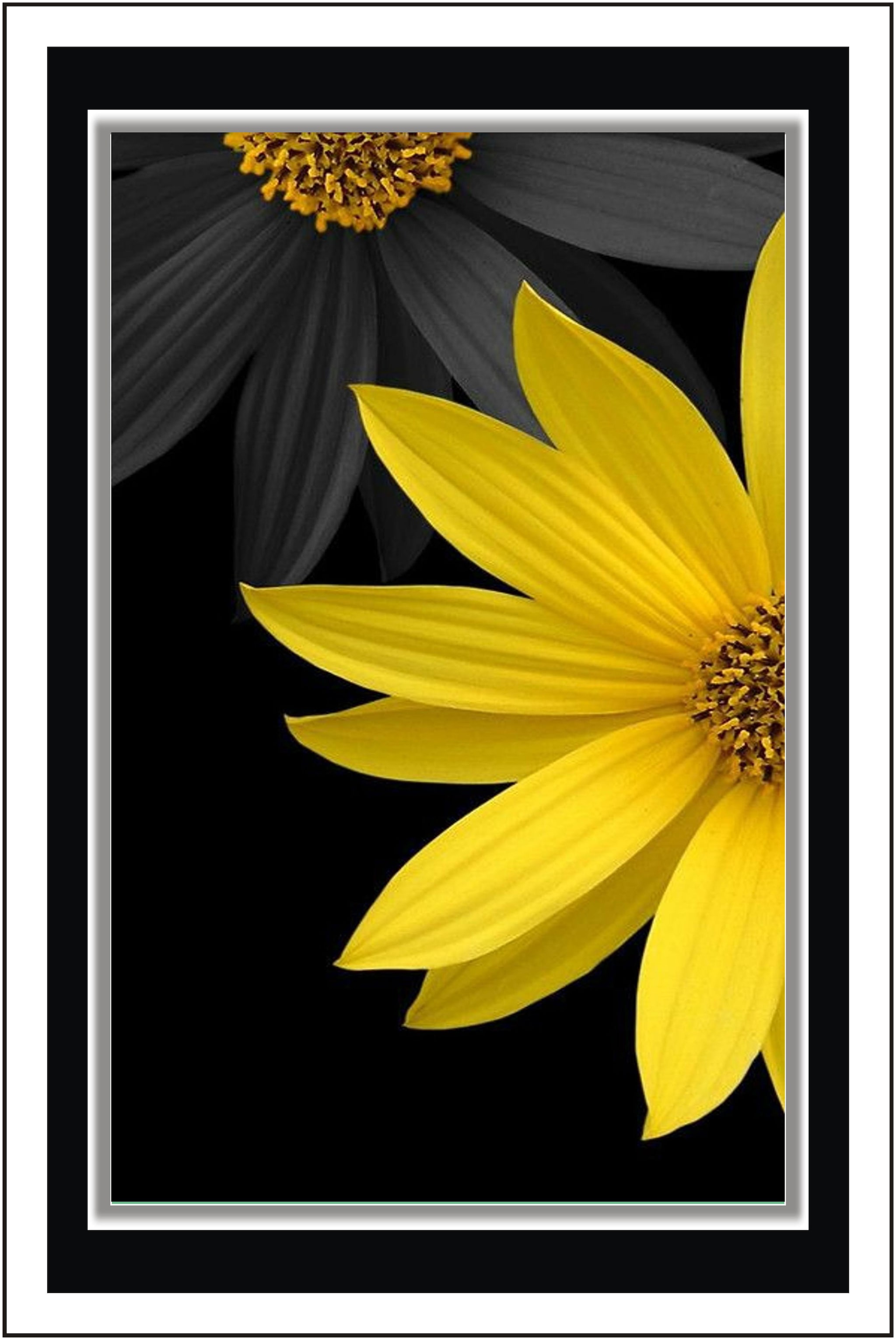 

Yogine Paper Poster Wall Sticker Print Decor Print - Unframed Rolled -12 inches x 18 inches