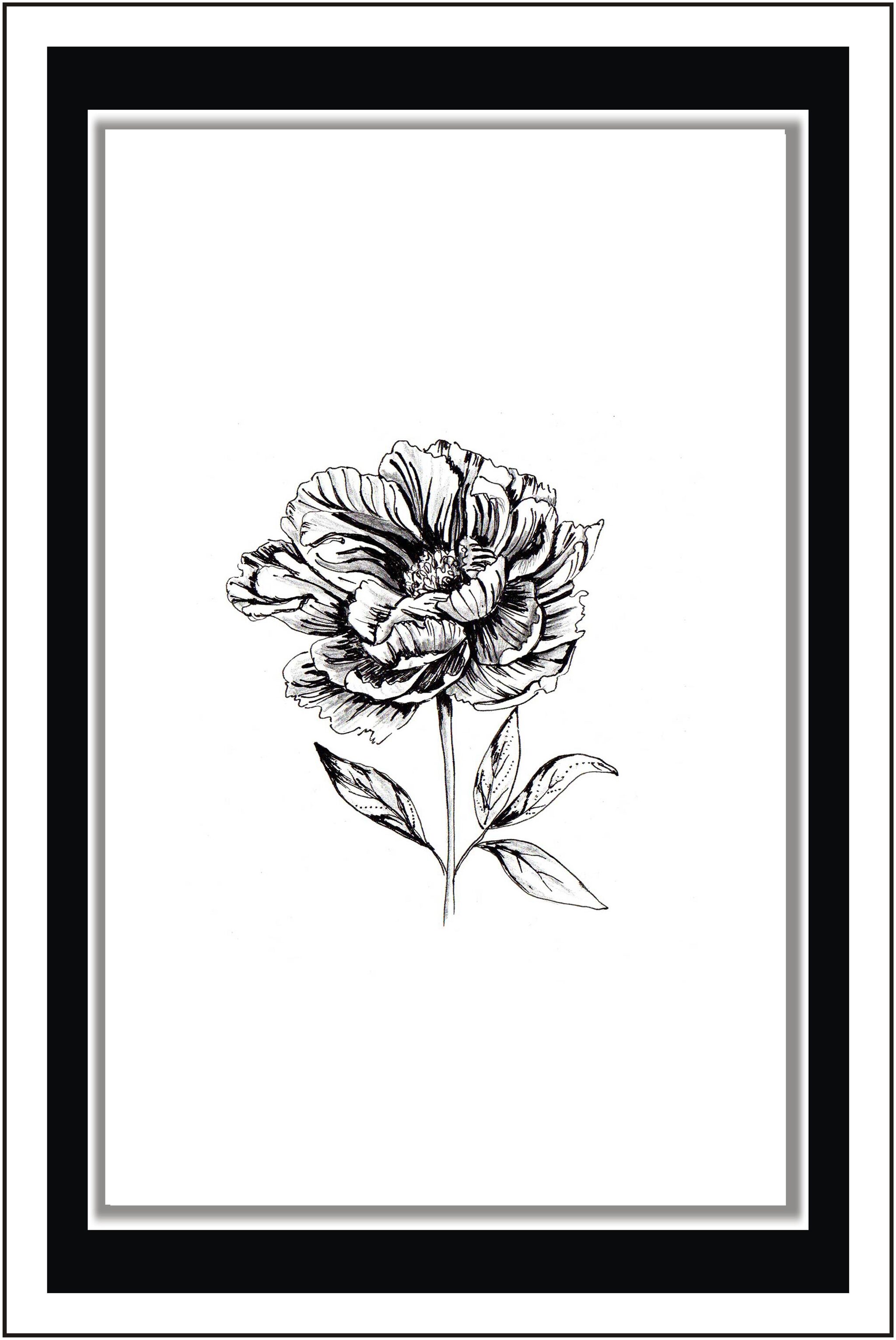 

Yogine Peonia Drawing - Paper Poster Wall Sticker Print Decor Print - Unframed Rolled -12 inches x 18 inches