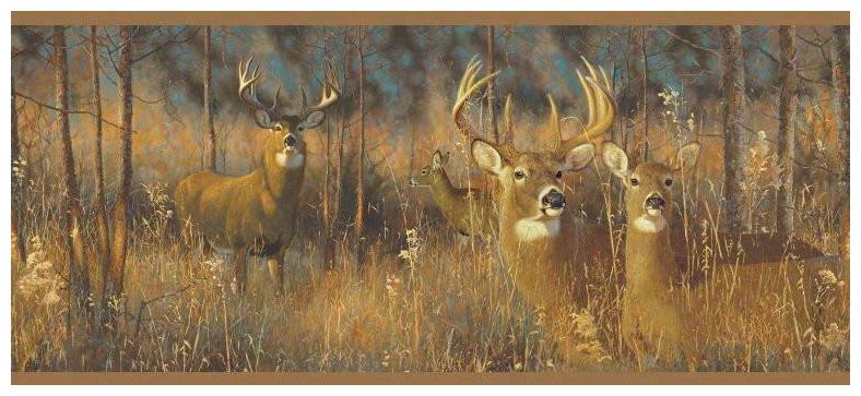 

York Lake Forest Lodge - White Tail Deer Wallpaper Border - WG0346BD