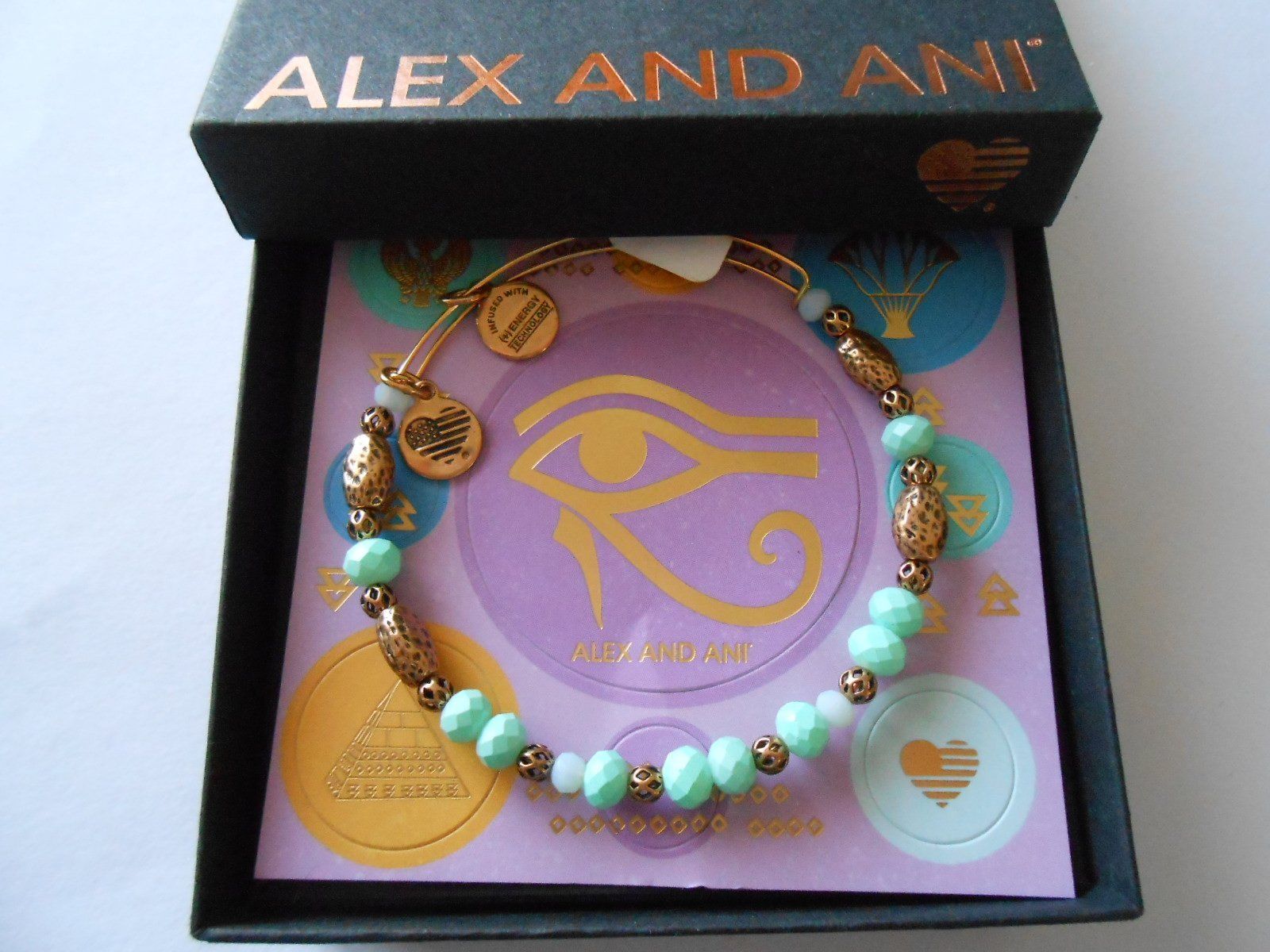 

Alex and Ani Valley Robin Bangle Bracelet Rafaelian Gold NWTBC