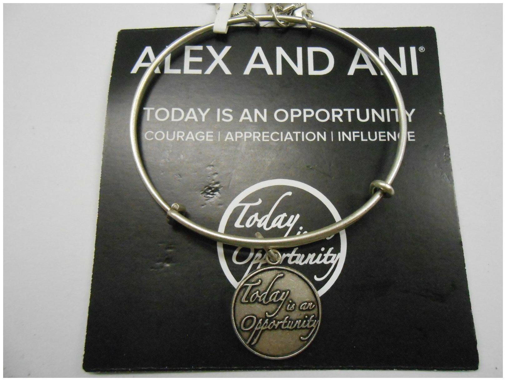 

Alex and Ani Today Is An Opportunity Rafaelian Silver NWTBC