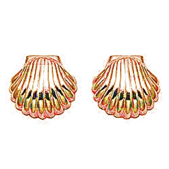 

Gold scallop shell stud earrings