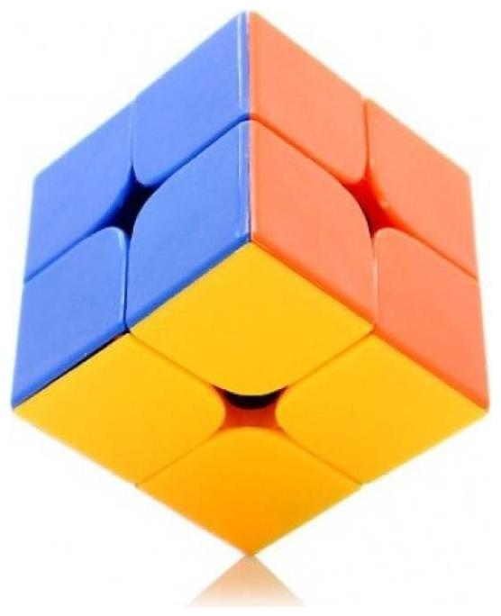 

2 x 2 High Speed Stickerless Magic Rubik Cube By Signomark