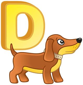 Buy 5 Ace Alphabet D For Dog Wall Sticker Paper Poster Online At Low Prices In India Paytmmall Com