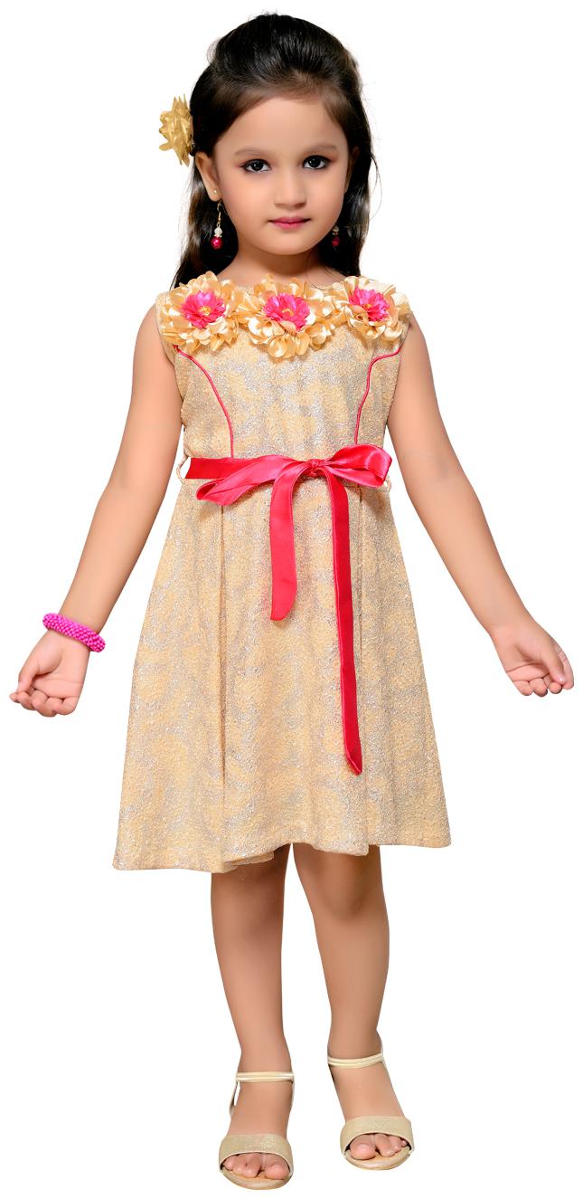 

Aarika Rani Nylon Midi A-Line Dress