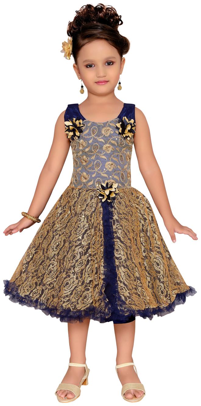 

Aarika Blue Net Sleeveless Above Knee Princess Frock ( Pack of 1 )