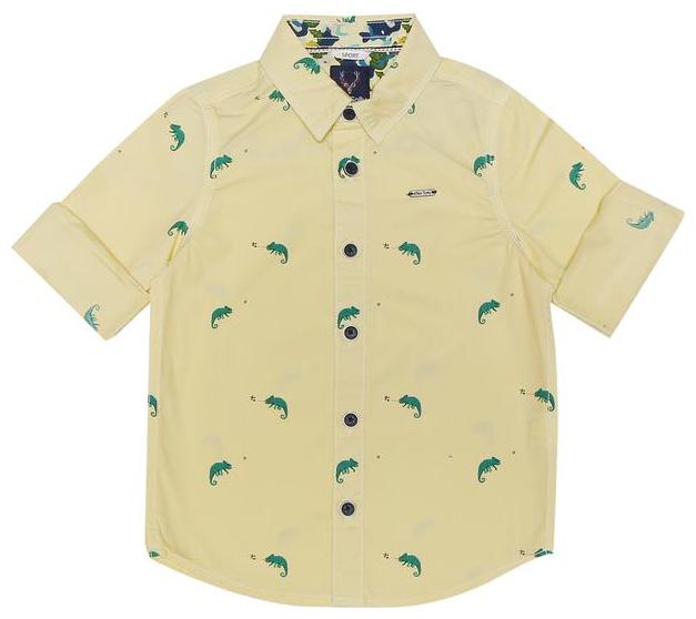 

Allen Solly Boy Cotton Printed Shirt Yellow