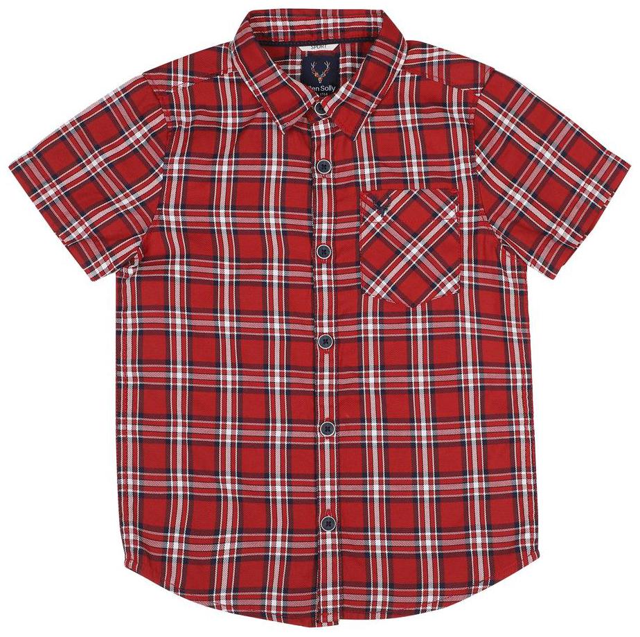 

Allen Solly Boy Cotton blend Checked Shirt Red