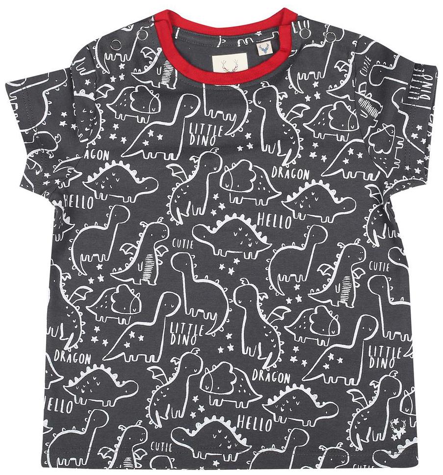 

Allen Solly Cotton Printed T shirt for Baby Boy - Grey