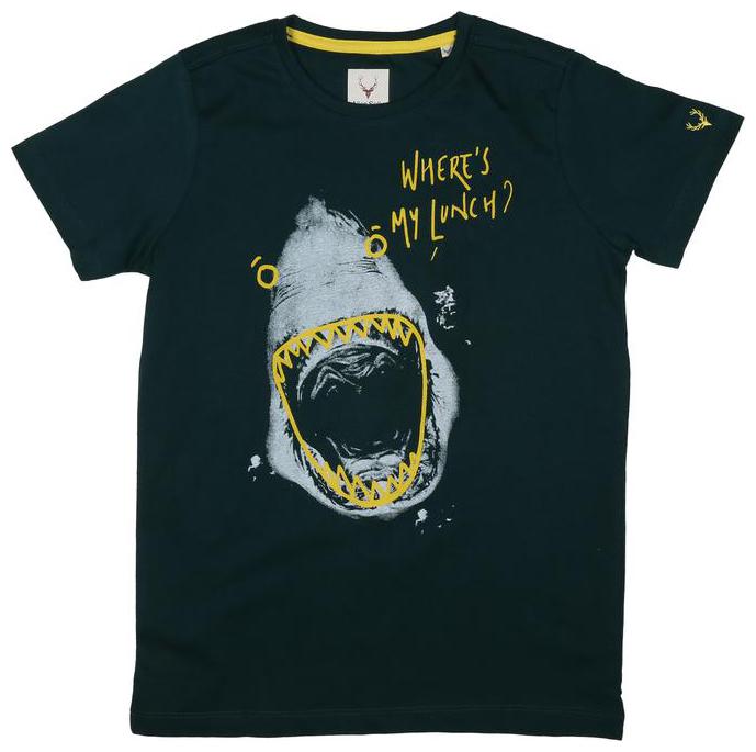 

Allen Solly Boy Cotton Printed T-shirt - Green