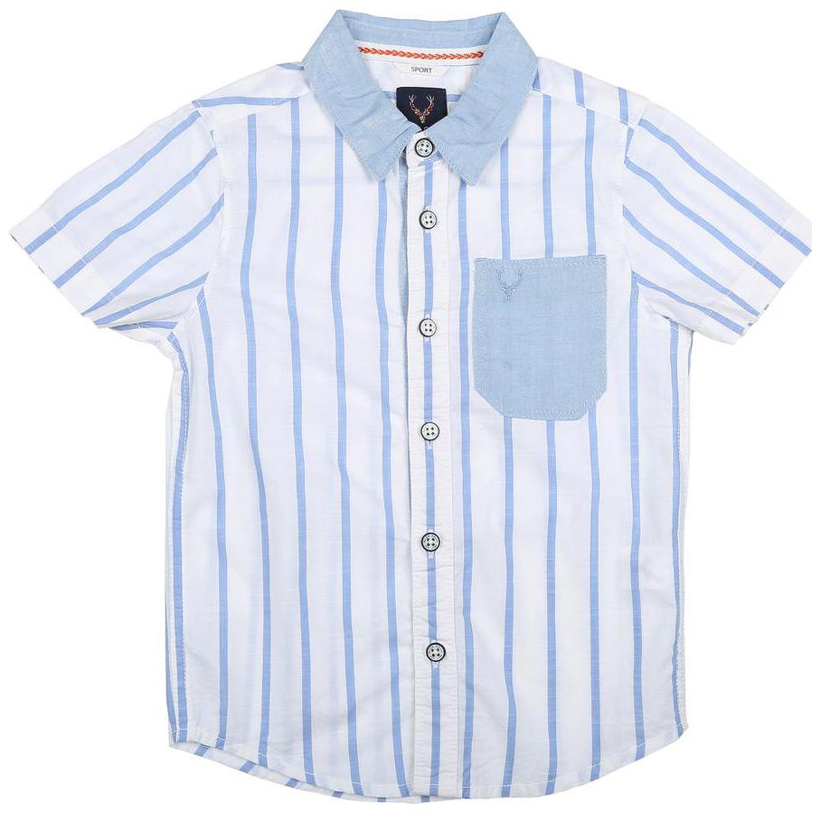 

Allen Solly Boy Cotton Striped Shirt Blue
