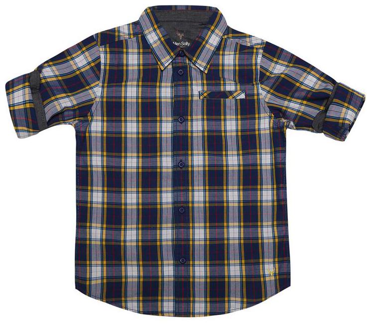 

Allen Solly Boy Cotton Checked Shirt Blue