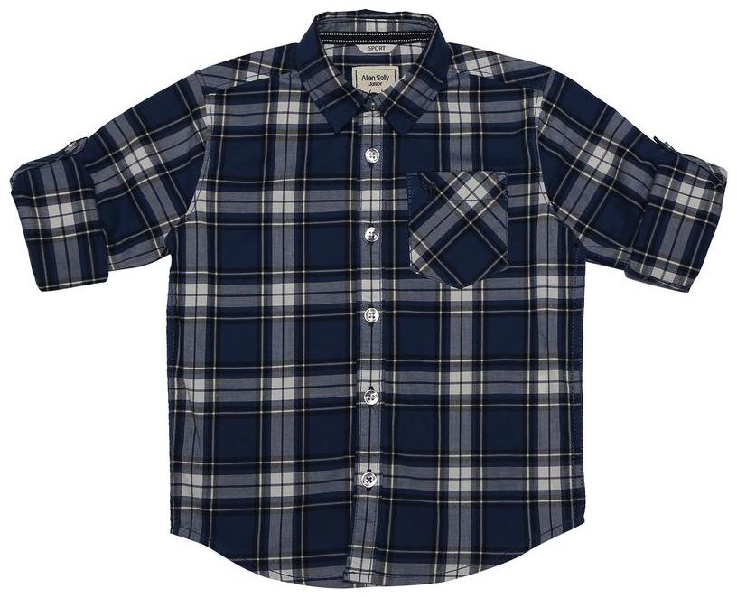 

Allen Solly Boy Cotton Checked Shirt Blue