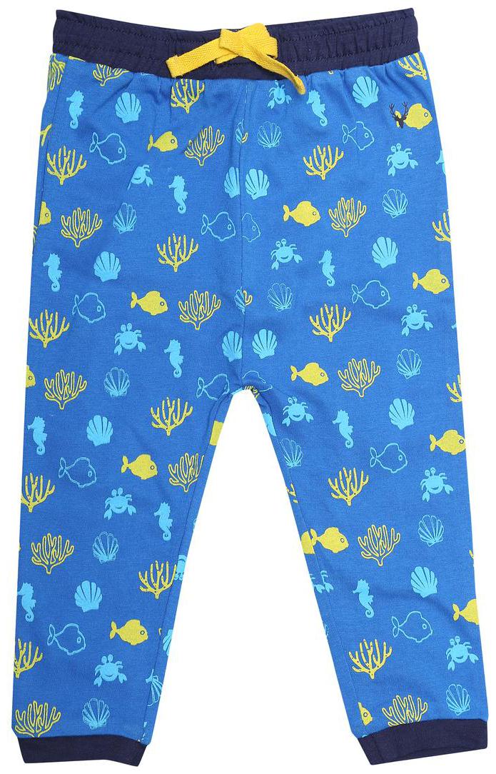 

Allen Solly Baby boy Cotton Printed Trousers - Blue