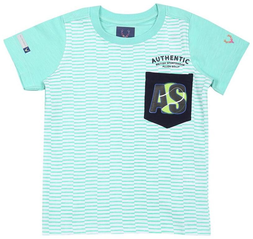 

Allen Solly Boy Cotton Striped T-shirt - Blue