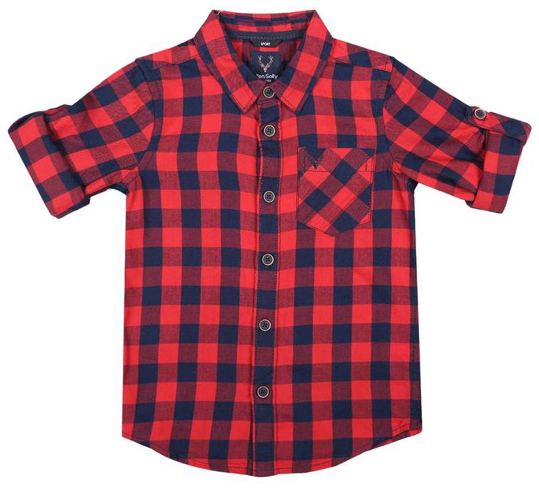 

Allen Solly Boy Cotton Checked Shirt Red