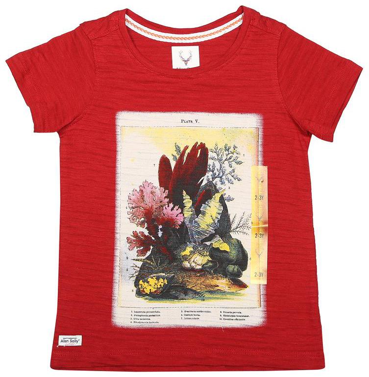 

Allen Solly Boy Cotton Printed T-shirt - Red