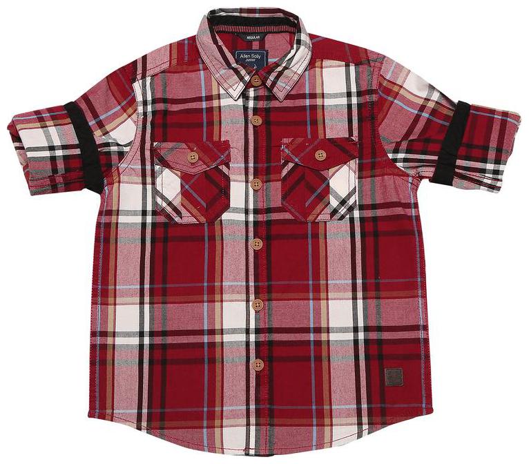 

Allen Solly Boy Cotton Checked Shirt Red
