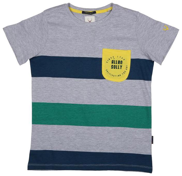 

Allen Solly Boy Cotton Striped T-shirt - Grey