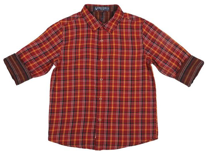 

Allen Solly Boy Cotton Checked Shirt Orange