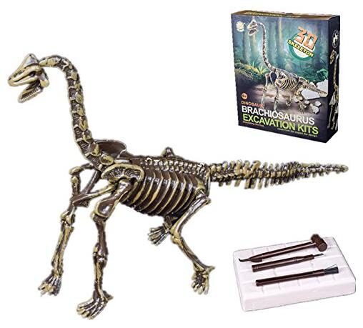 

ALPHAVECTOR Feilong Brachiosaurus - Archaeology Toy (Multi)
