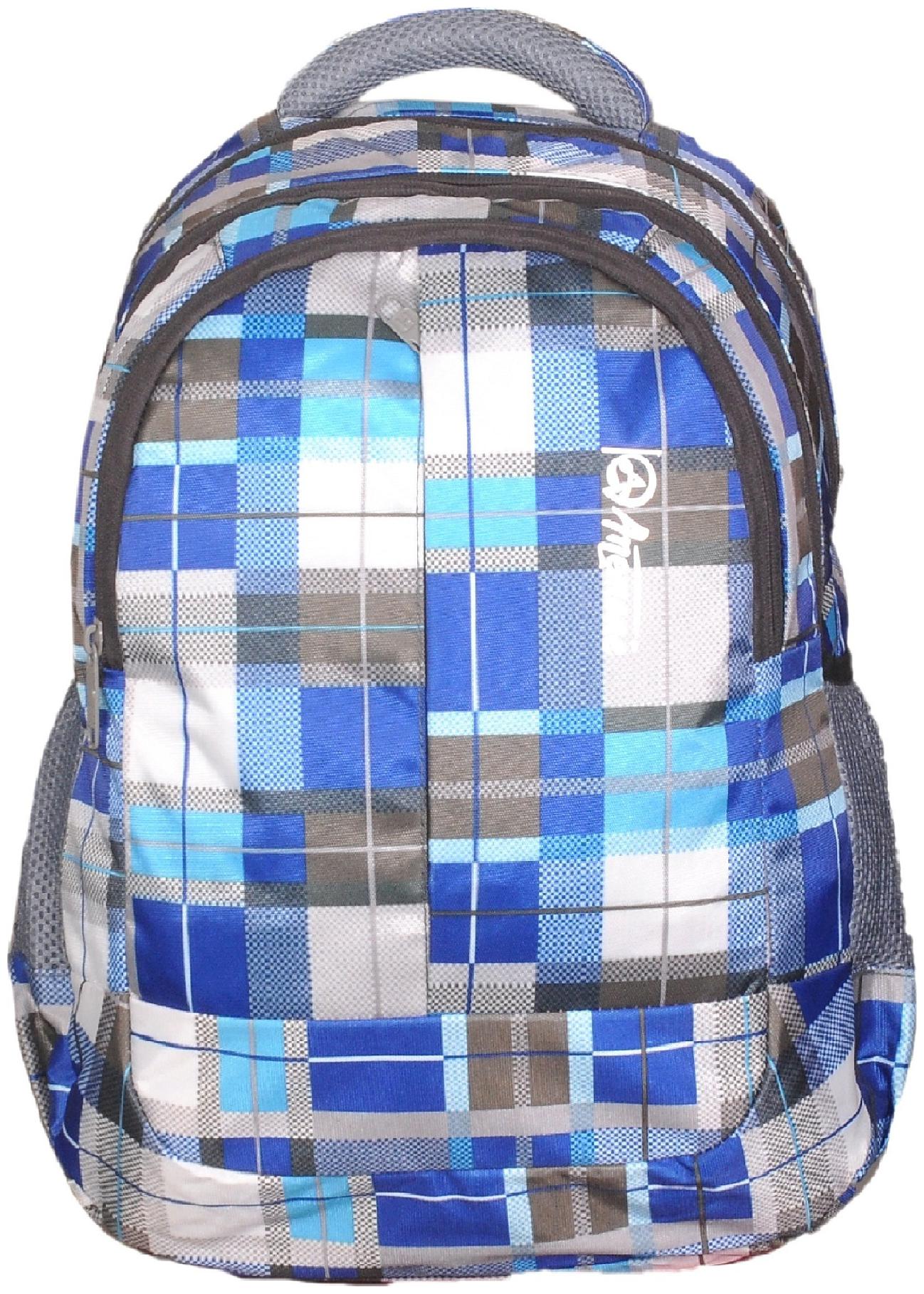 

Anemone Polyester 27 LTR Backpack School Bag 15 (Blue) with Rain Cover