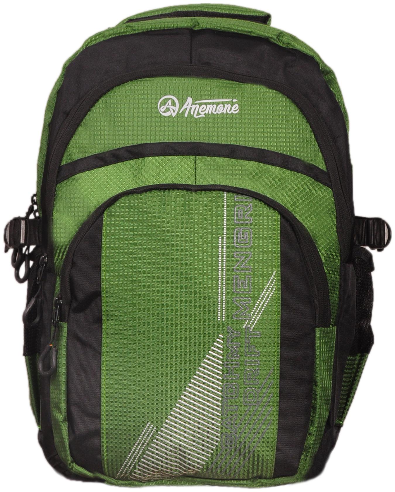 

Anemone Polyester 27 Ltr Backpack School Bag 02 (Green)