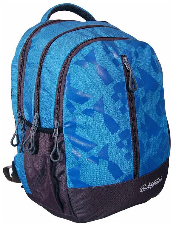 

Anemone Polyester 22 Ltr Backpack School Bag 04 (Blue) with Rain Cover