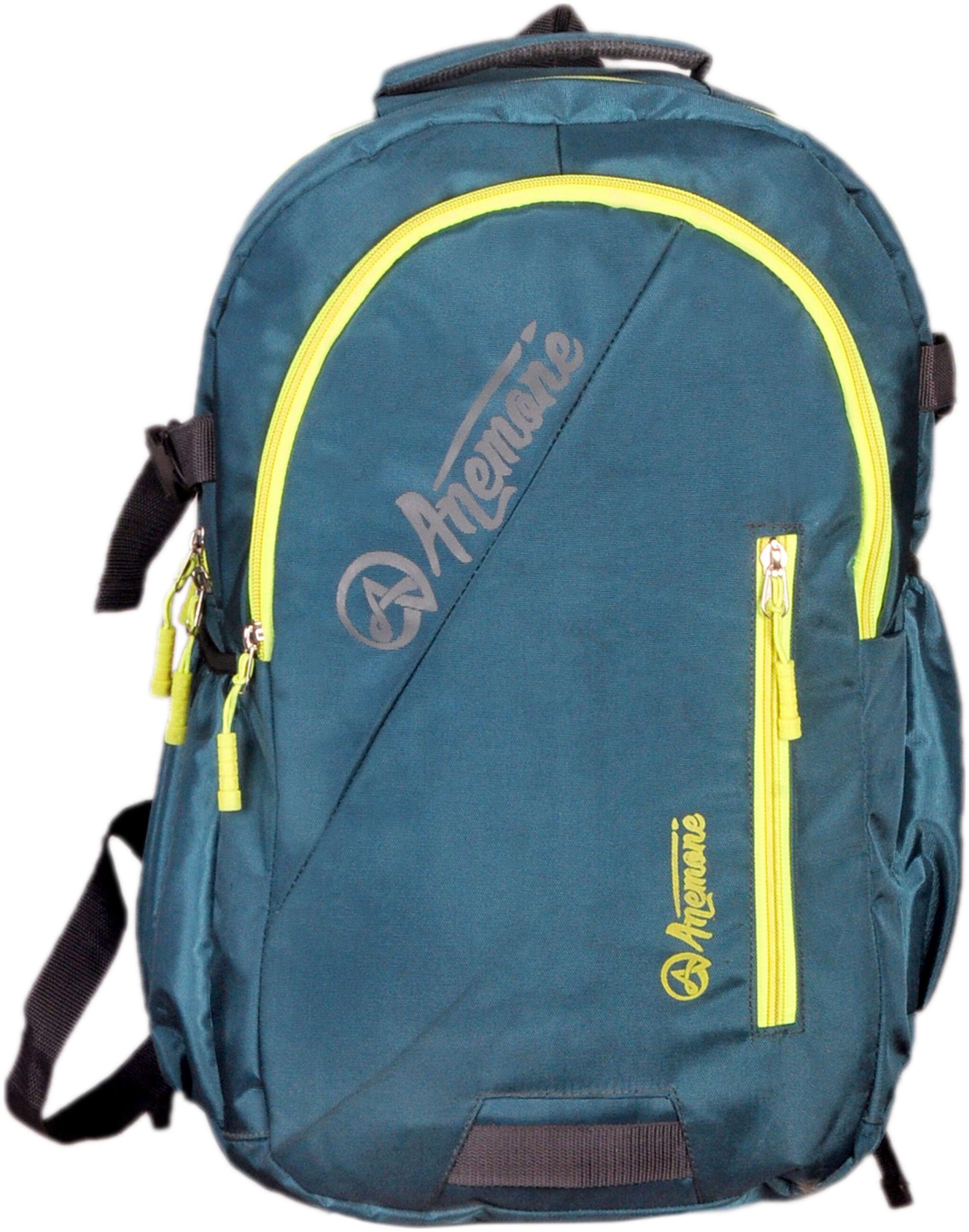 

Anemone Polyester 30 LTR Backpack School Bag 13 (Air Force) with Rain Cover