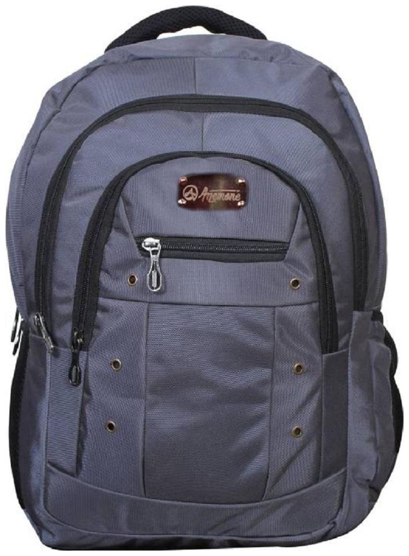 

Anemone Polyester 24 Ltr Backpack School Bag 05 (Grey)