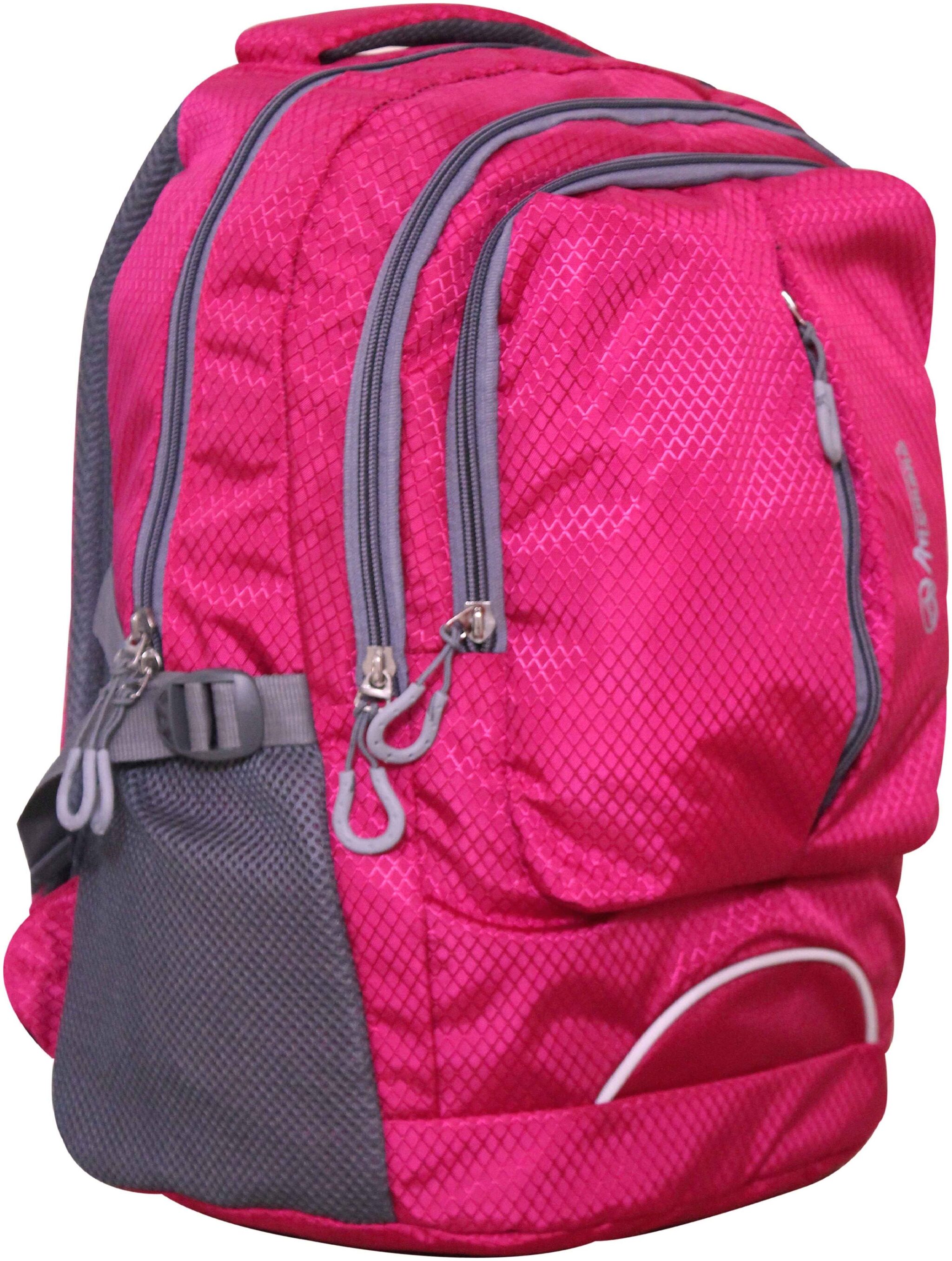 

Anemone Polyester 21 LTR Backpack School Bag 09 (Pink)