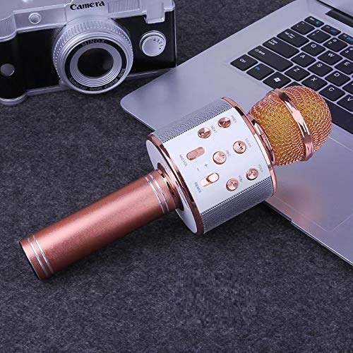 

ARHUB Wireless mike with speakers for singing WS-858 Bluetooth mic with Portable Speaker