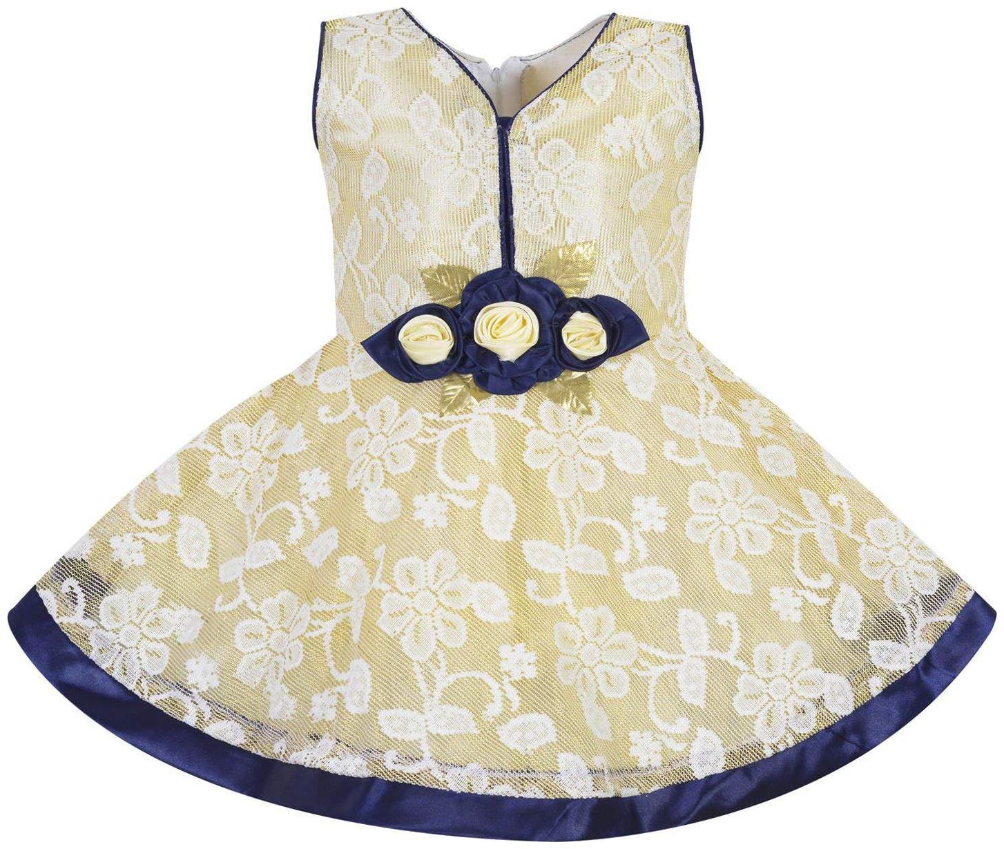 

Silver Kraft Baby girl Net Embellished Princess frock - Blue