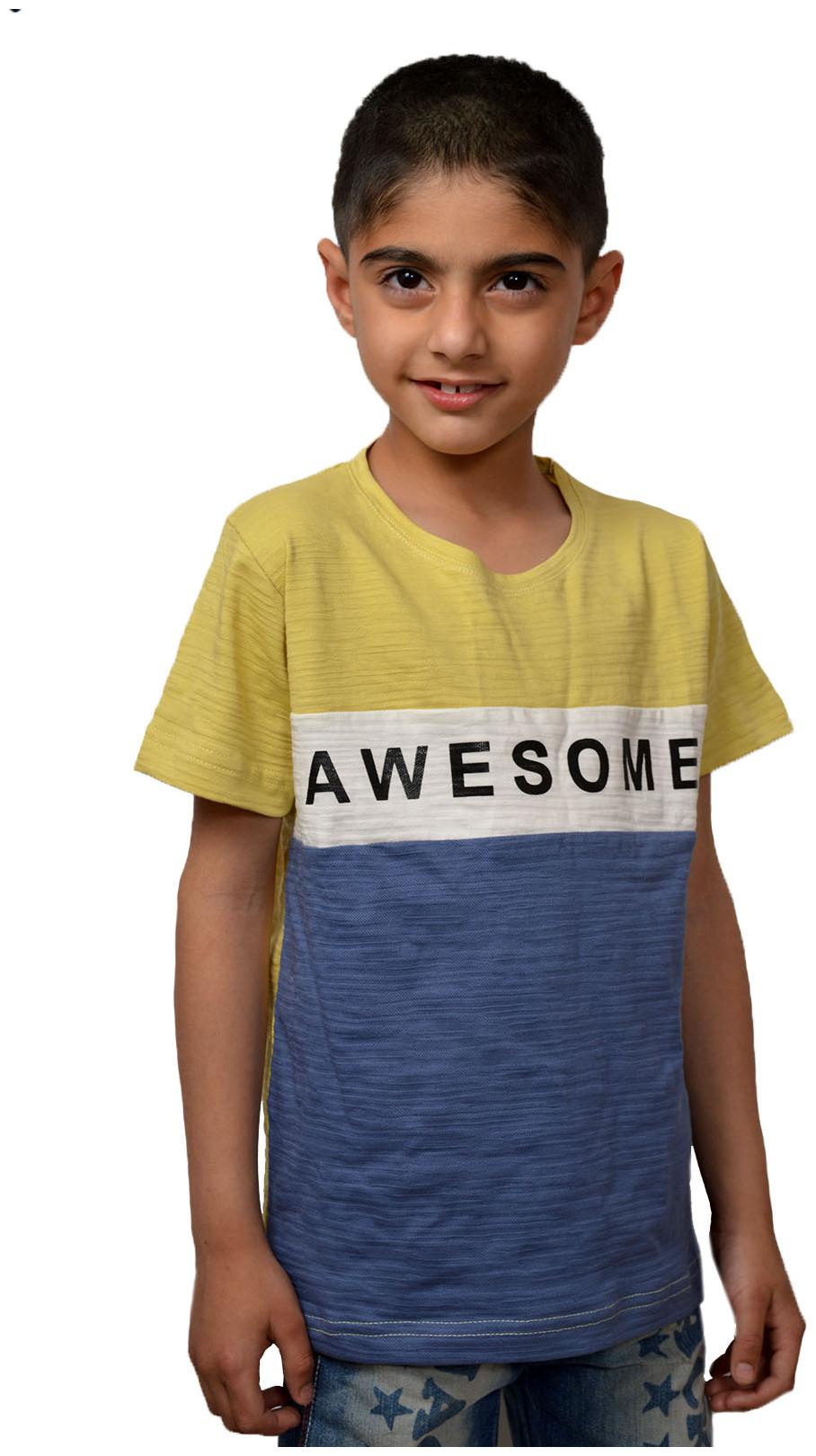

CH CRUX HUNTER Boy Cotton Colorblocked T-shirt - Multi