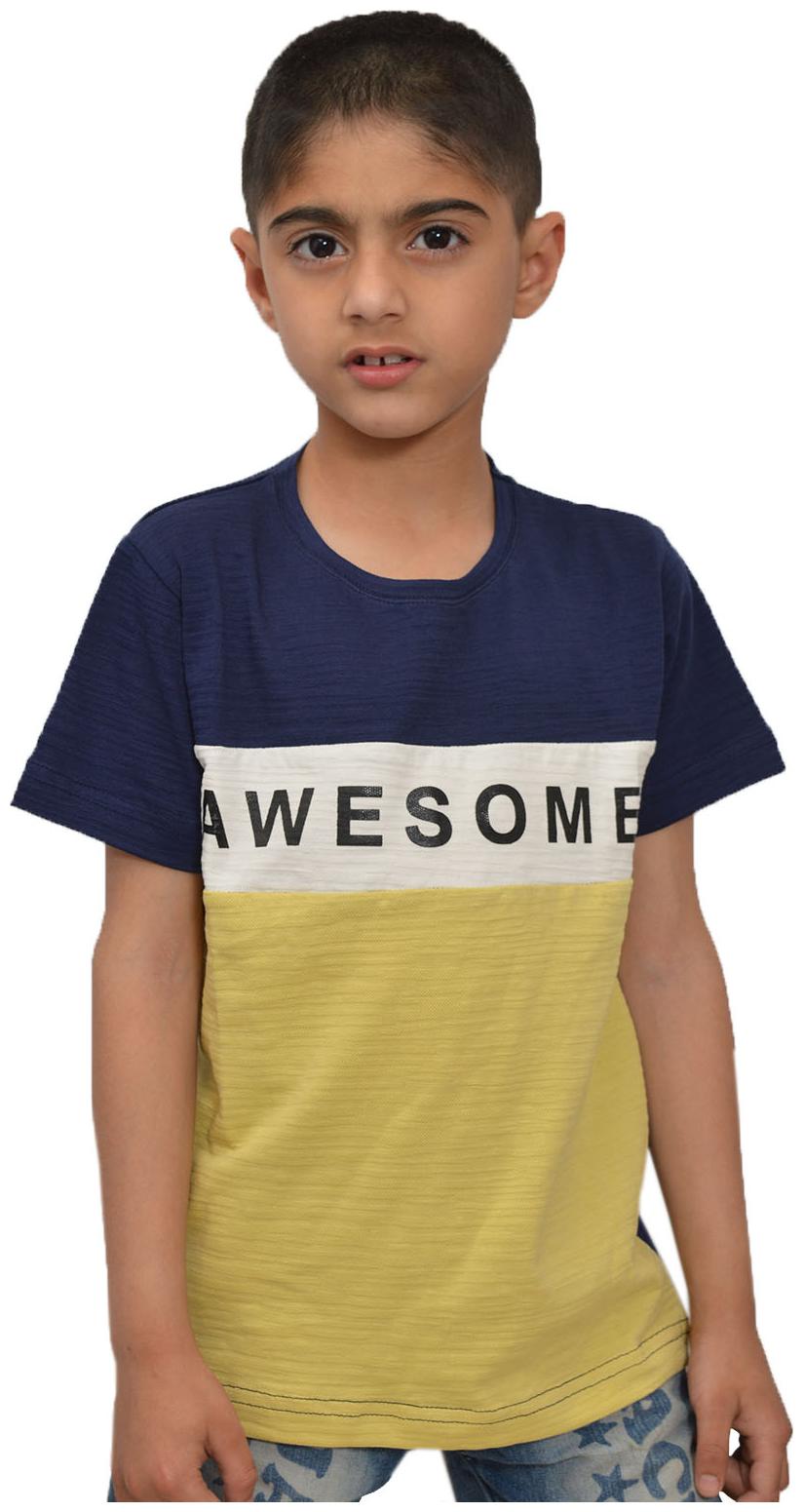 

CH CRUX HUNTER Boy Cotton Colorblocked T-shirt - Multi