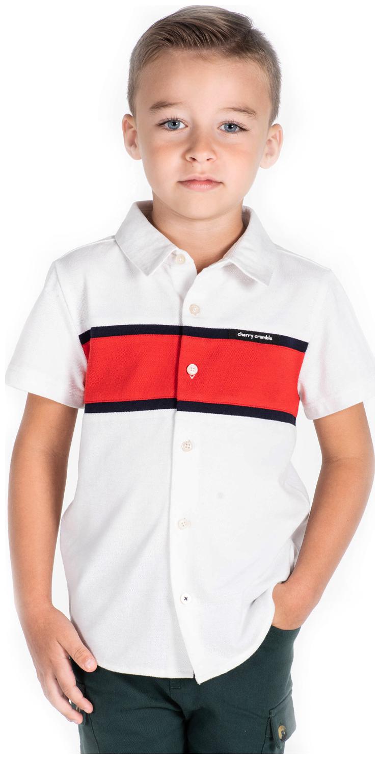 

Cherry Crumble By Nitt Hyman Cotton Solid Shirt for Baby Boy - White