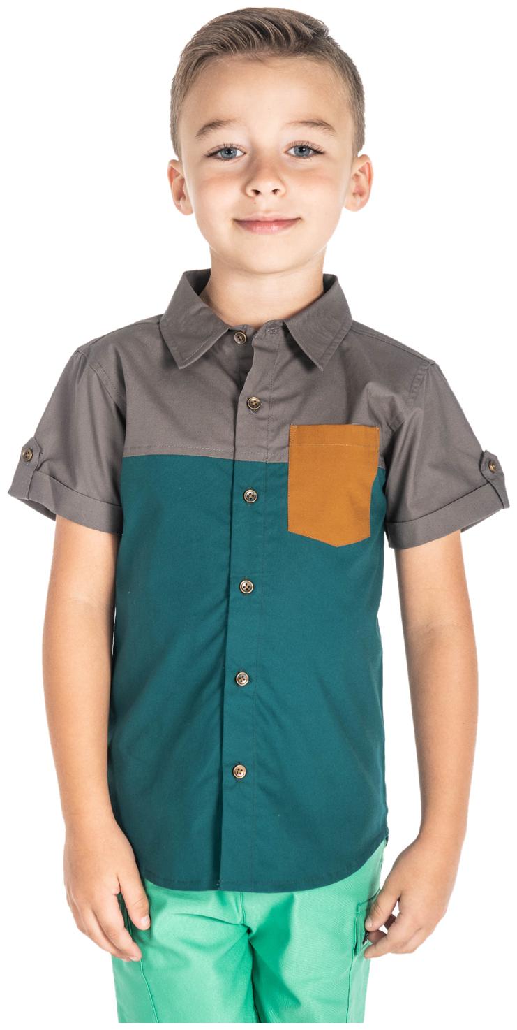

Cherry Crumble By Nitt Hyman Cotton Colorblocked Shirt for Baby Boy - Multi