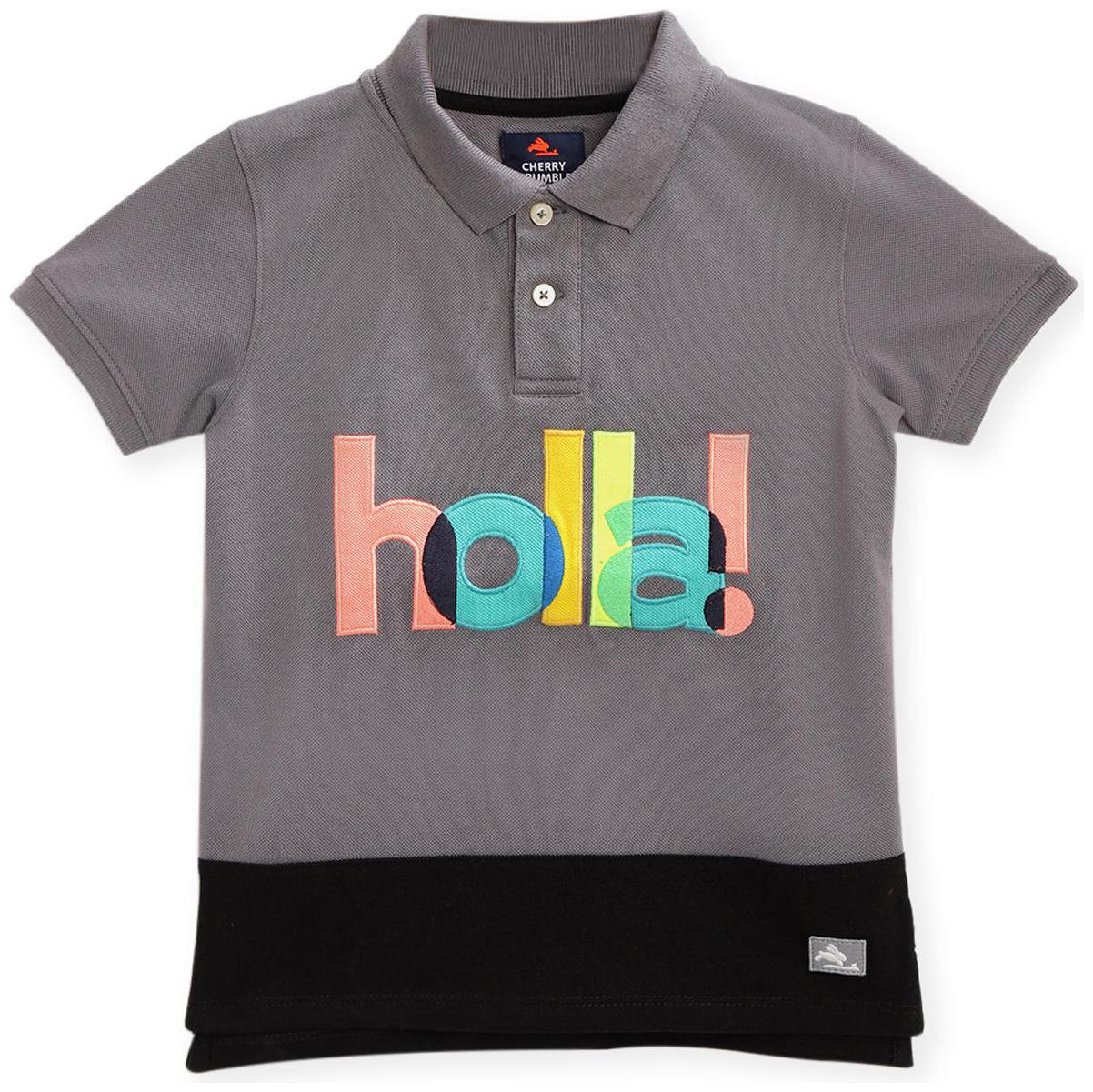 

Cherry Crumble By Nitt Hyman Cotton Blend Applique Grey Color T-Shirt For Boy