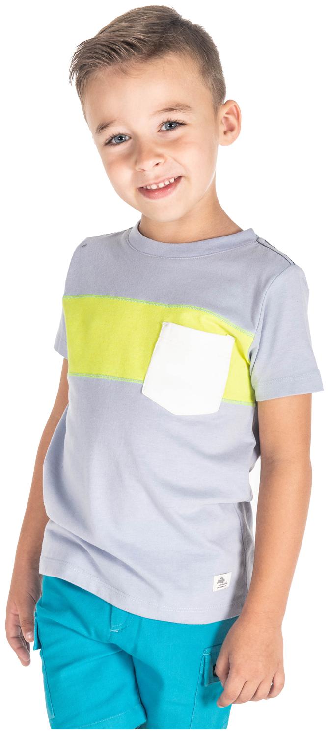 

Cherry Crumble By Nitt Hyman Boy Cotton Colorblocked T-shirt - Grey