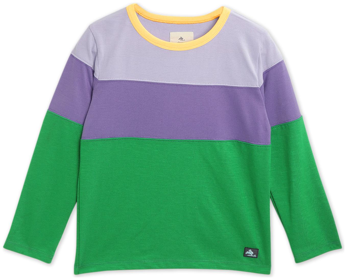 

Cherry Crumble By Nitt Hyman Boy Cotton blend Colorblocked T-shirt - Multi