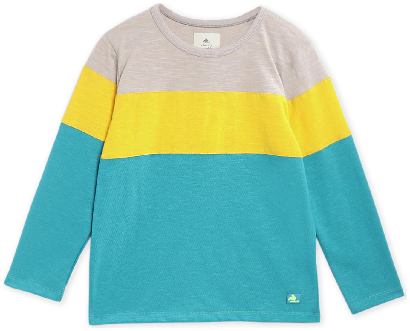 

Cherry Crumble By Nitt Hyman Cotton blend Colorblocked T shirt for Baby Boy - Multi