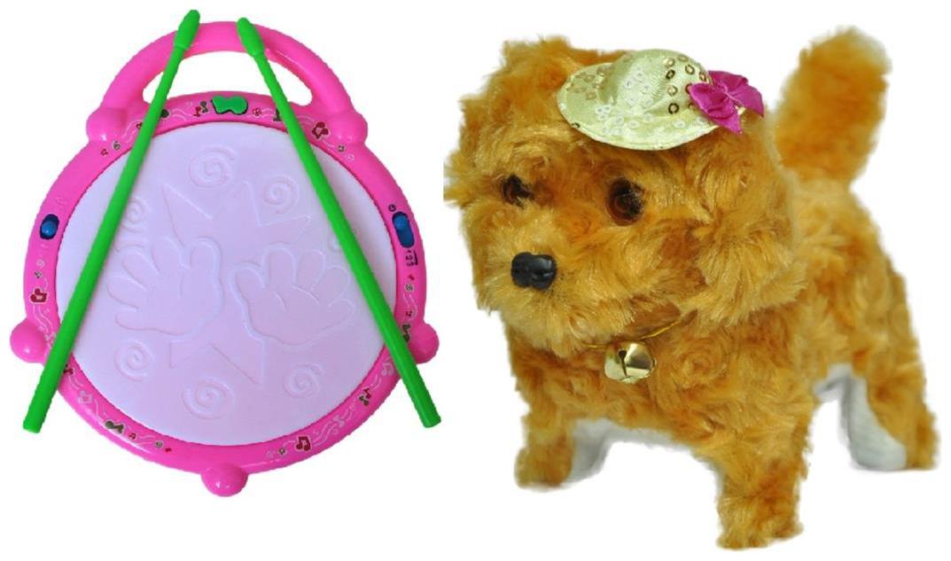 

Combo Of Flash Drum with Musical Puppy