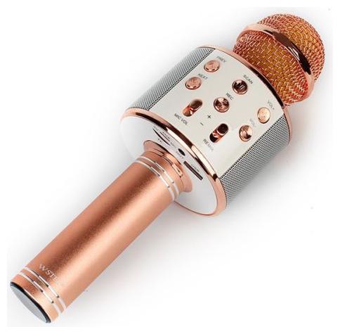 

CHG W858 Mic Mic Portable Wireless Karaoke With inbuilt speaeker for all smart phones