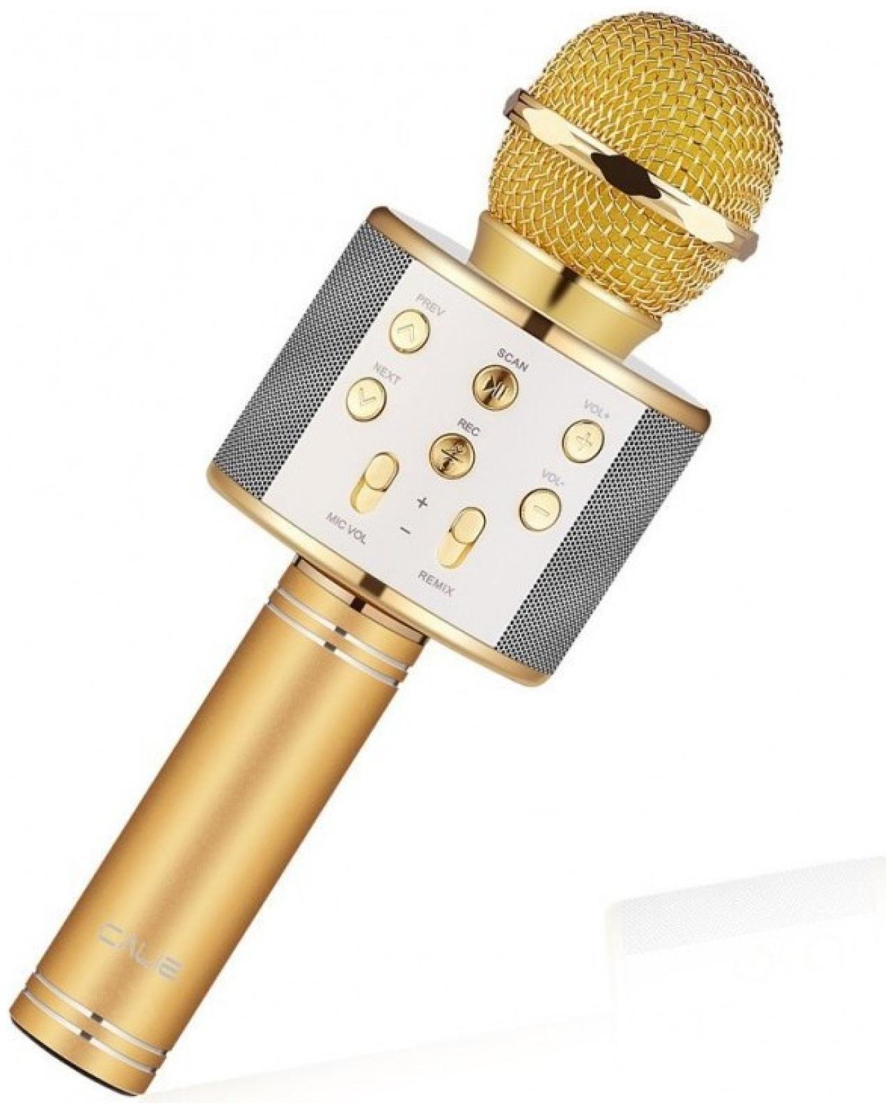 

CHG W858 Mic Wireless Microphone Bluetooth Karaoke Track Dimensional Sound Voice SF 666 Wired Studio Recording Audio (Gold)