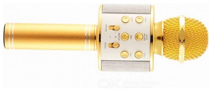 

CHG W858 Mic Wireless Bluetooth Karaoke Mic with inbuilt Speaker Audio Recording Echo Adjustment and Many More Functions (Gold)