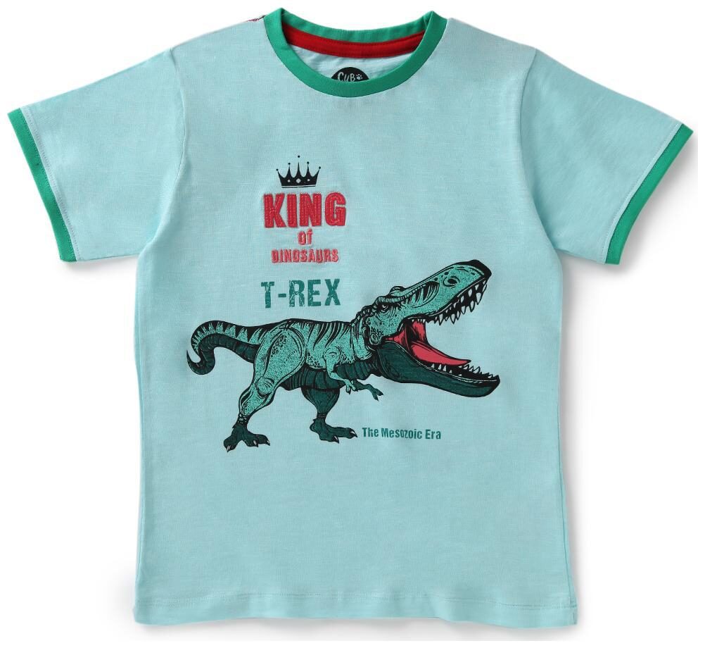 

CuB McPAWS Boy Cotton Printed T-shirt - Green