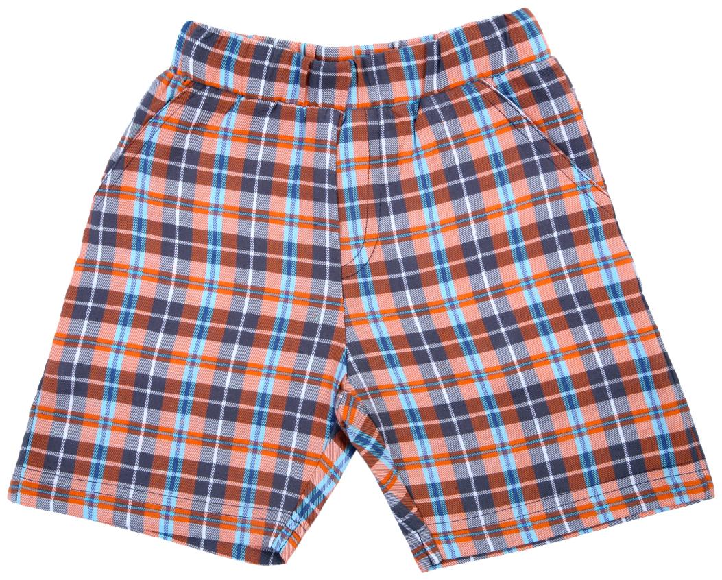 

Cuddledoo Boys Flannel Multi Check Shorts (3-6 M)